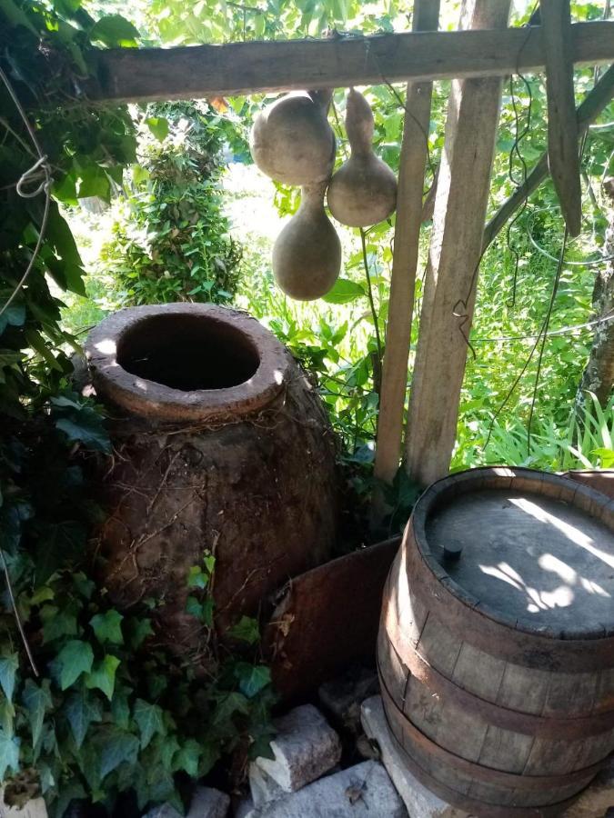 Guest House Knarik Jvari المظهر الخارجي الصورة