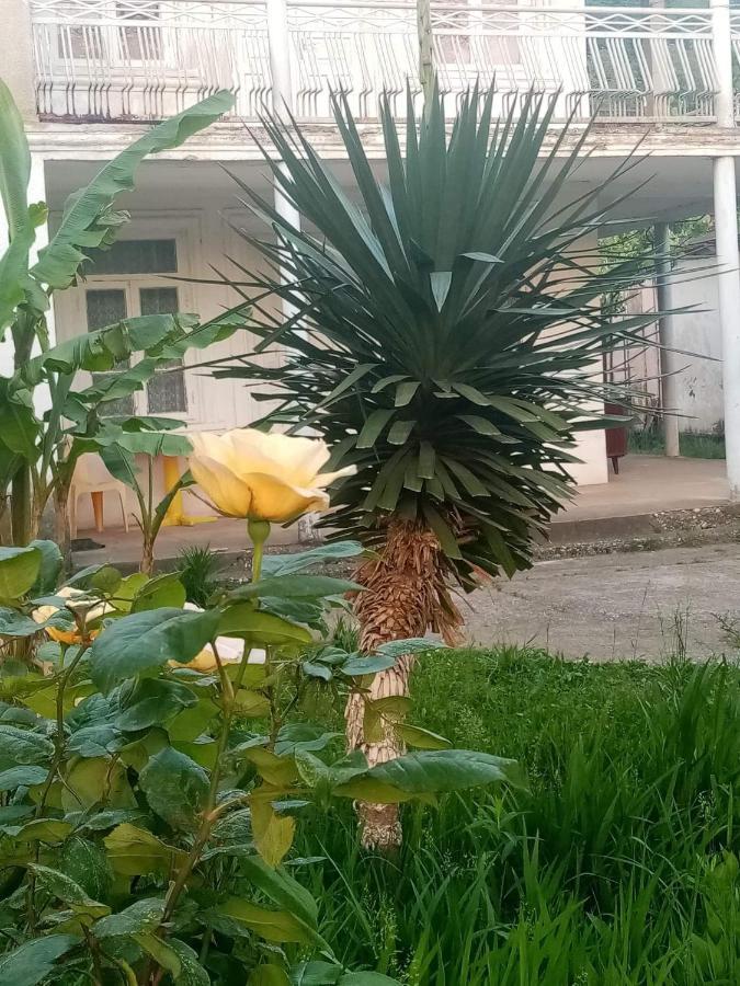 Guest House Knarik Jvari المظهر الخارجي الصورة